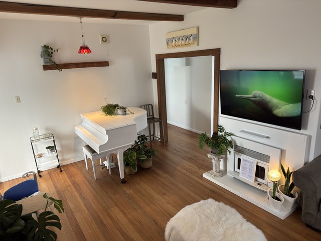 White Oasis