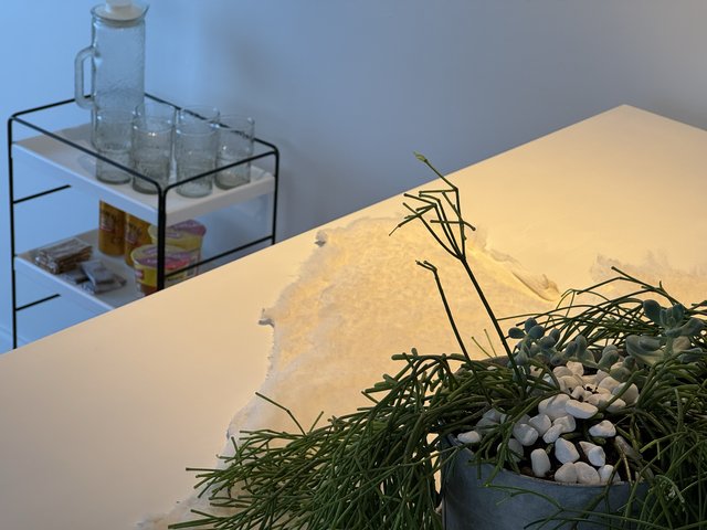 White Oasis